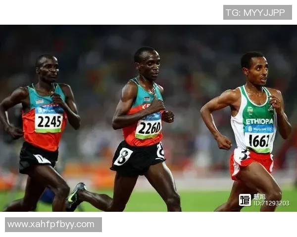 esports数据聚焦和平精英WE战队耐力提升之路与训练心得分享